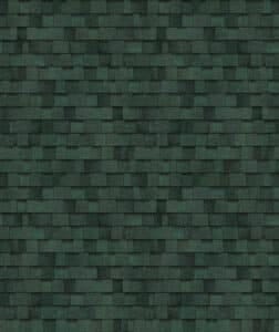 trudefduration chateau green Shingles